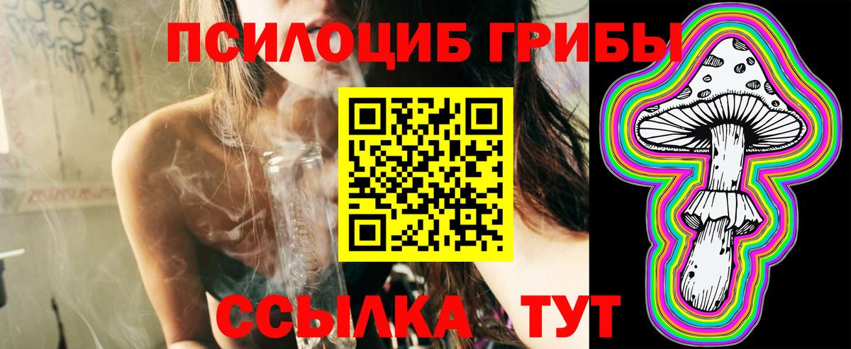 Советский  Галлюциногенные грибы Psilocybe  Вход с VPN  Псилоцибиновые грибы прущие грибы 